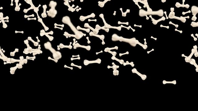 Flying many bones on black background. Dog bone icon. Pet food. 3D animation of bones rotating. Loop animation.