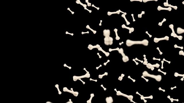 Flying many bones on black background. Dog bone icon. Pet food. 3D animation of bones rotating. Loop animation.
