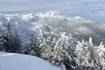 Stowe Ski Resort in Vermont, view to the Mansfield mountain slopes, December fresh snow on trees...