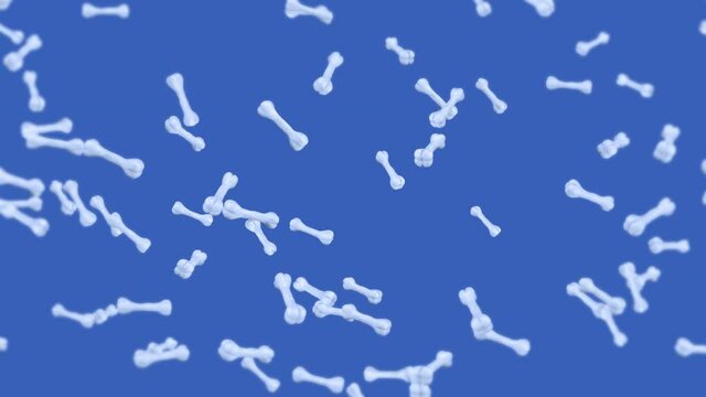 Flying many bones on blue background. Dog bone icon. Pet food. 3D animation of bones rotating. Loop animation.
