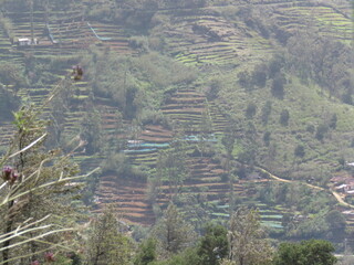 view of village