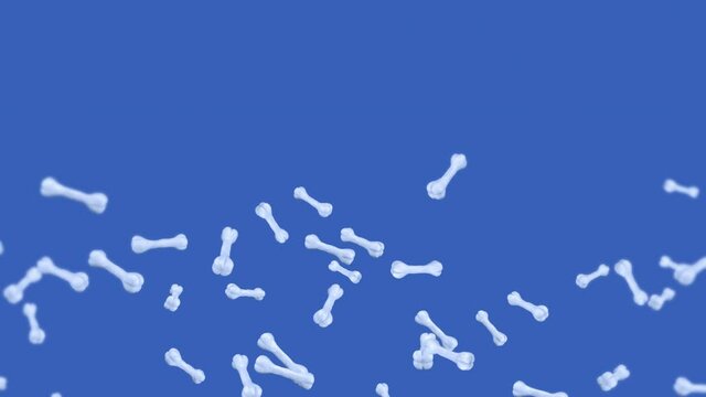 Flying many bones on blue background. Dog bone icon. Pet food. 3D animation of bones rotating. Loop animation.