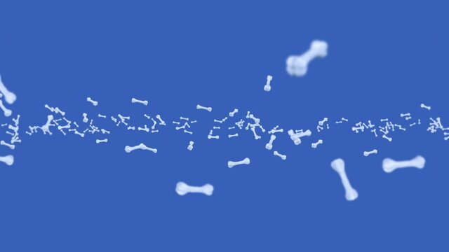 Flying many bones on blue background. Dog bone icon. Pet food. 3D animation of bones rotating. Loop animation.