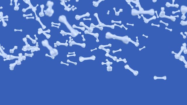 Flying many bones on blue background. Dog bone icon. Pet food. 3D animation of bones rotating. Loop animation.