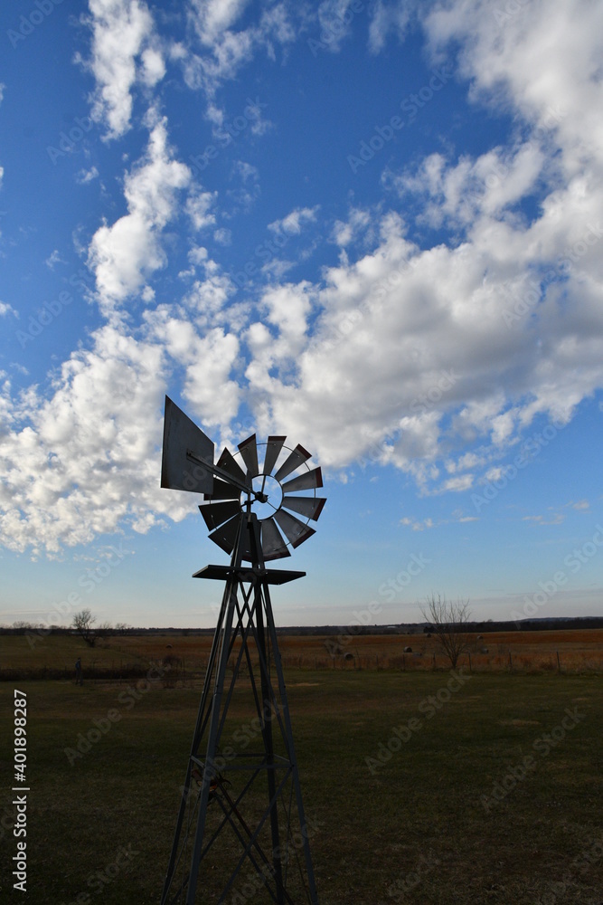 Wall mural windmill