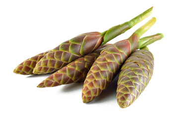 Phlai (thai name), Cassumunar ginger, Bengal root, flowers