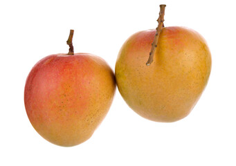 Two whole mangoes isolated on white background, with clipping path