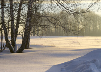 Fototapeta na wymiar Morning light over winter plain
