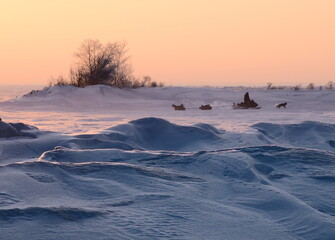 Obraz premium A man and children ride a snowmobile on a snowy field frozen Novosibirsk reservoir