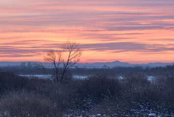 Blue Golden dawn in the foothills of Altai