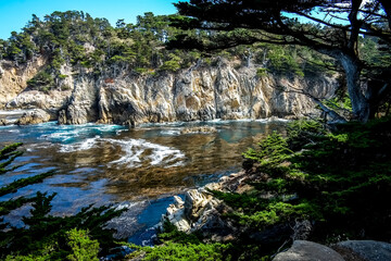 Central Coast of California inlet along Pacific Ocean with kelp beds and trees