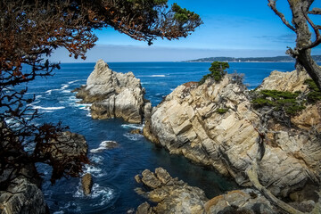 Pacific Ocean inlet with kelp beds framed by trees along central coast of California