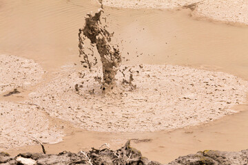 Boiling mud pool in Wai-O-Tapu thermal wonderland, Rotorua, North Island of New Zealand. Rotorua area is well known for geothermal activity, geysers and hot mud pools