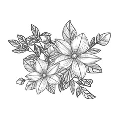 Decorative branches and bouquets. A bouquet of flowers for the decoration of wedding invitation cards and greeting cards. Black engraving, graphics, line art. Vintage.