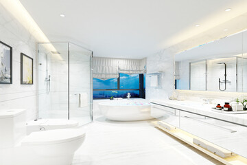 modern and luxury toilet concept