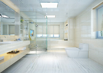 modern and luxury toilet concept