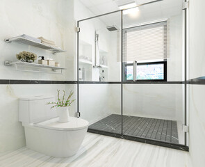 modern and luxury toilet concept