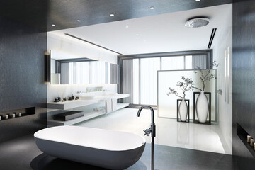 modern and luxury toilet concept