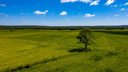 A panoramic shot of a green landscape filled with forest, trees and green grass under the sky.