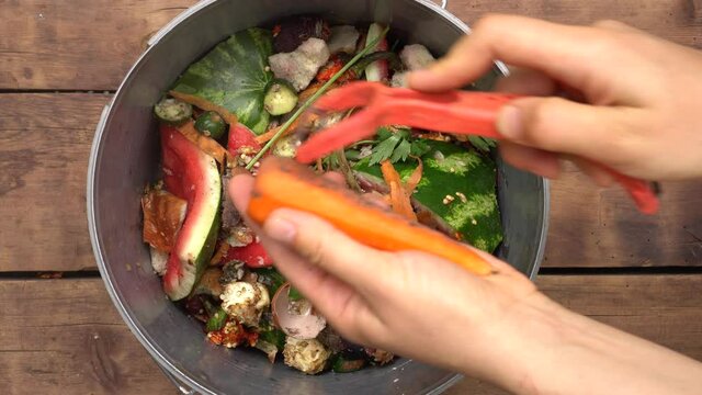 Housewife throws vegetable peeling, scraps and fruit peels in compost bucket. Top view. Organic kitchen home waste gathering for composting. Separation and recycling of household garbage, Zero waste