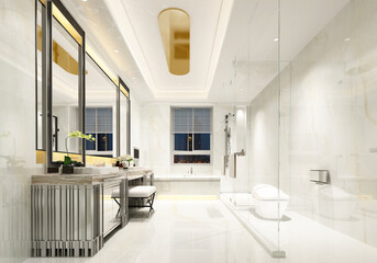 modern and luxury toilet concept