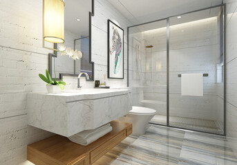 modern and luxury toilet concept