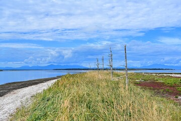 Obraz premium トドワラで見た野付半島の晩秋の情景＠北海道