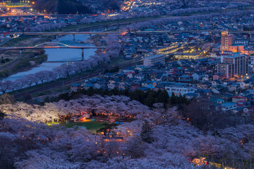 船岡城址公園からの一目千本桜
