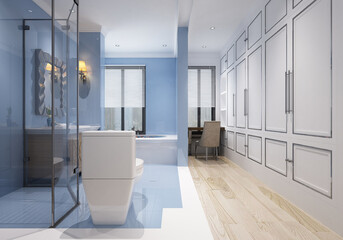 modern and luxury toilet concept