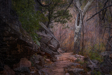 Sedona Arizona USA Grasshopper Trail