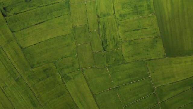 A panoramic shot of a green landscape from Durugol Turkey.