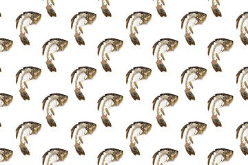 Geometric pattern from fish skeleton that was eaten. Bones crucian carp isolated, creative food background.