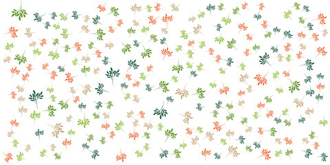 Tropical flowers border seamless pattern in sketch style on white background - hand drawn exotic blooms of monstera, protea, magnolia and plumeria with colorful line contour. Vector illustration