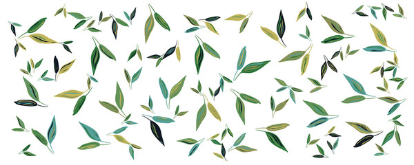 Tropical flowers border seamless pattern in sketch style on white background - hand drawn exotic blooms of monstera, protea, magnolia and plumeria with colorful line contour. Vector illustration