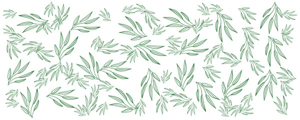 Naklejka na ściany i meble Tropical flowers border seamless pattern in sketch style on white background - hand drawn exotic blooms of monstera, protea, magnolia and plumeria with colorful line contour. Vector illustration