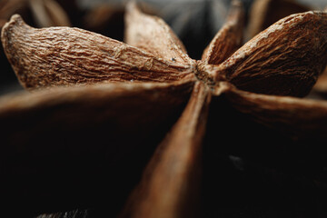 Macro photo of anise stars on wooden background