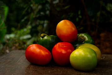 Fresh vegetables with blurred nature in the background