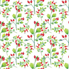 Seamless plant pattern with hawthorn and rosehip on a white background. Hand-drawn in watercolor. It can be used for postcards, packaging, wrapping, Wallpaper.