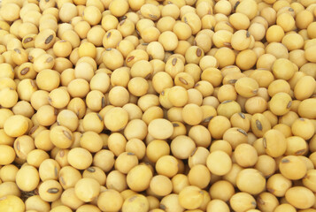 Soy beans background 