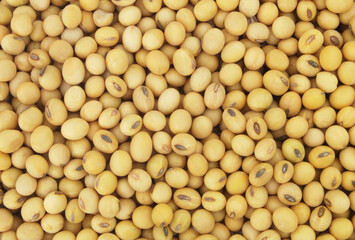 Soy beans background 