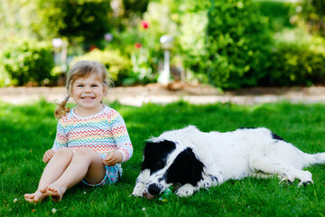 Naklejka na ściany i meble Cute little toddler girl playing with family dog in garden. Happy smiling child having fun with dog, hugging playing with ball. Happy family outdoors. Friendship and love between animal and kids