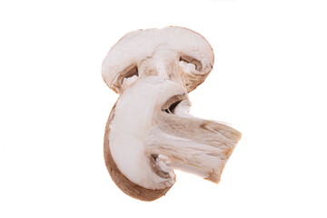 Fototapeta na wymiar champignon mushrooms isolated