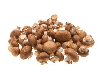 champignon mushrooms isolated