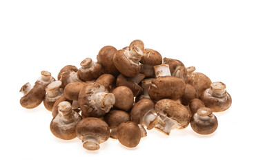 champignon mushrooms isolated