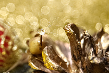 Dandelion fluff with a drop of water on a blurred background of Christmas tree decorations and golden bokeh. Macrophoto
