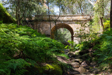 Fototapeta na wymiar Ferns around Lennox Bridge, the oldest arch bridge in Australia.