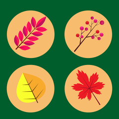 icons leafs 2