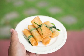 Fried spring rolls