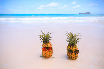 Pineapple on the beach, Waimanalo, Oahu, Hawaii