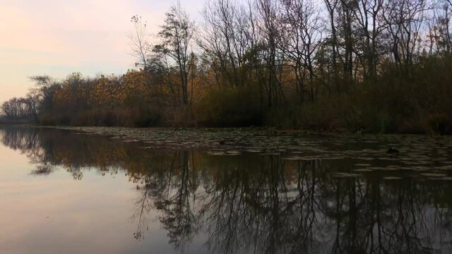 A video shot at sunset between the long trees with a drone in Sakarya Karasu Lake which is in Turkey. It is a real natural beauty.